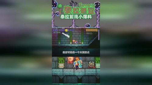 金鸡前线最新爆料,最新爆料背后的精彩故事