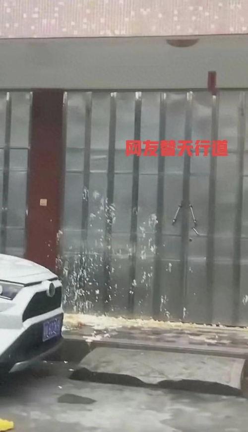 揭阳锡场事件爆料最新,真相揭开，背后黑幕令人震惊